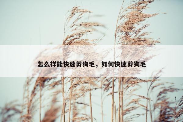 怎么样能快速剪狗毛，如何快速剪狗毛