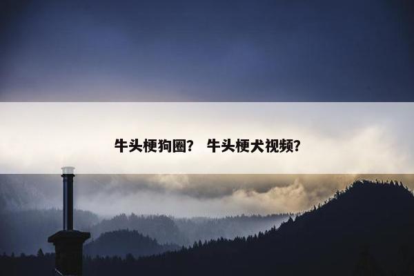牛头梗狗圈？ 牛头梗犬视频？