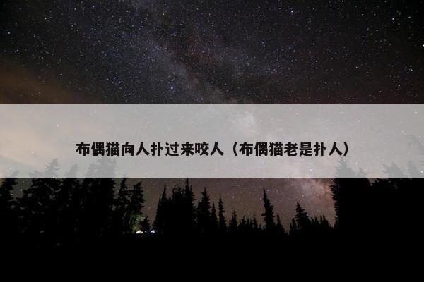 布偶猫向人扑过来咬人（布偶猫老是扑人）