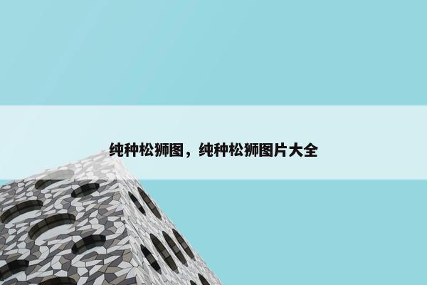 纯种松狮图，纯种松狮图片大全
