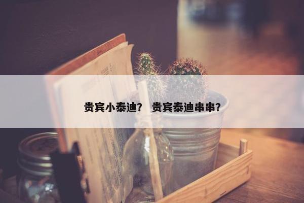 贵宾小泰迪？ 贵宾泰迪串串？