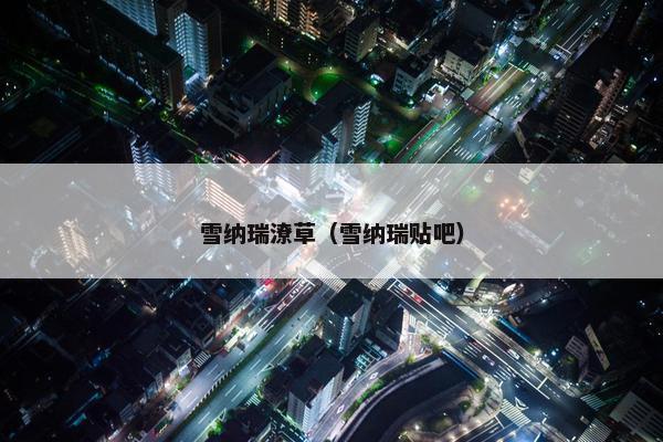 雪纳瑞潦草（雪纳瑞贴吧）