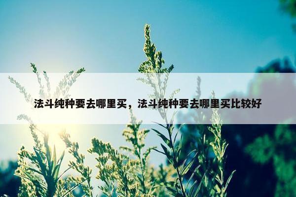 法斗纯种要去哪里买，法斗纯种要去哪里买比较好