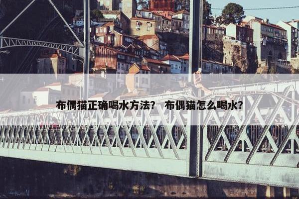 布偶猫正确喝水方法？ 布偶猫怎么喝水？