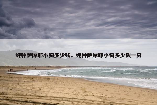纯种萨摩耶小狗多少钱，纯种萨摩耶小狗多少钱一只