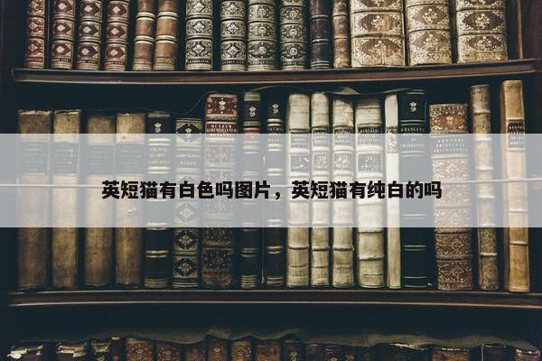 英短猫有白色吗图片，英短猫有纯白的吗