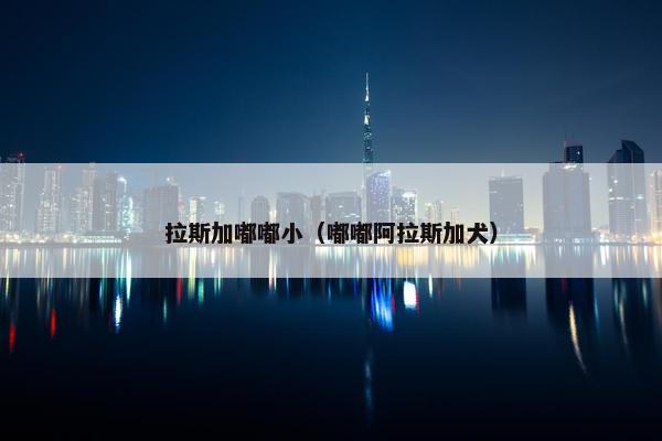 拉斯加嘟嘟小（嘟嘟阿拉斯加犬）