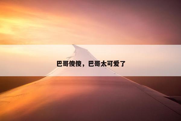 巴哥傻傻，巴哥太可爱了