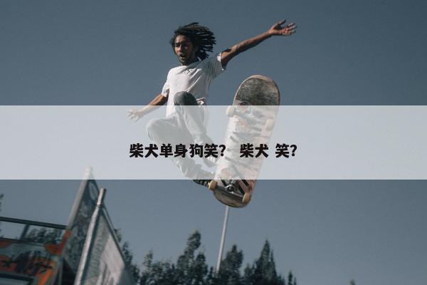 柴犬单身狗笑？ 柴犬 笑？