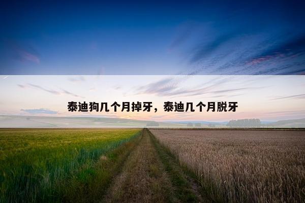 泰迪狗几个月掉牙，泰迪几个月脱牙