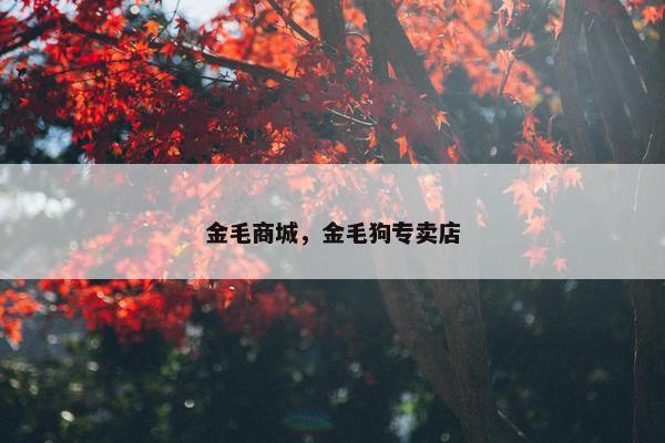 金毛商城，金毛狗专卖店
