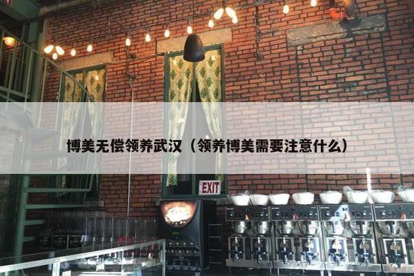 博美无偿领养武汉（领养博美需要注意什么）