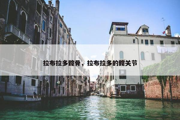 拉布拉多髋骨，拉布拉多的髋关节