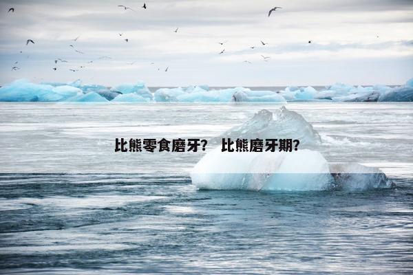 比熊零食磨牙？ 比熊磨牙期？