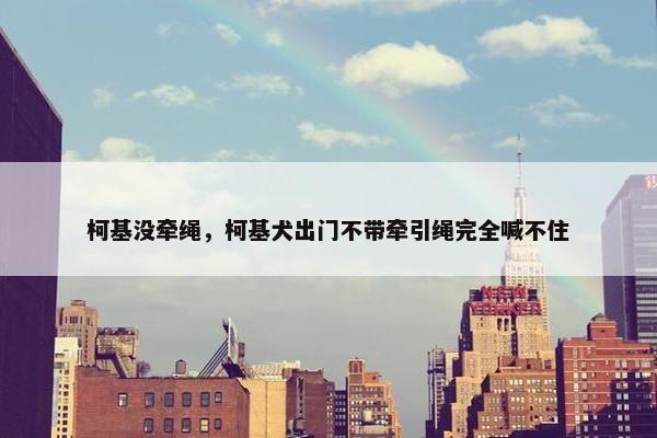 柯基没牵绳，柯基犬出门不带牵引绳完全喊不住