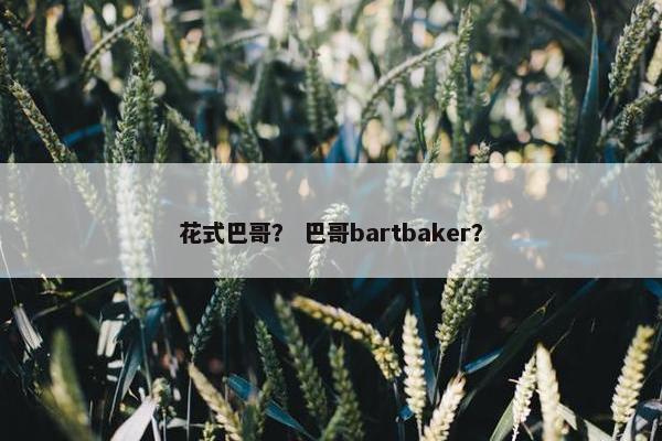 花式巴哥？ 巴哥bartbaker？