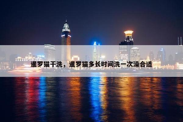 暹罗猫干洗，暹罗猫多长时间洗一次澡合适