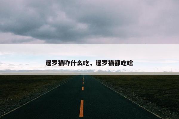 暹罗猫咋什么吃，暹罗猫都吃啥