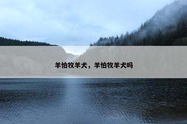 羊怕牧羊犬，羊怕牧羊犬吗