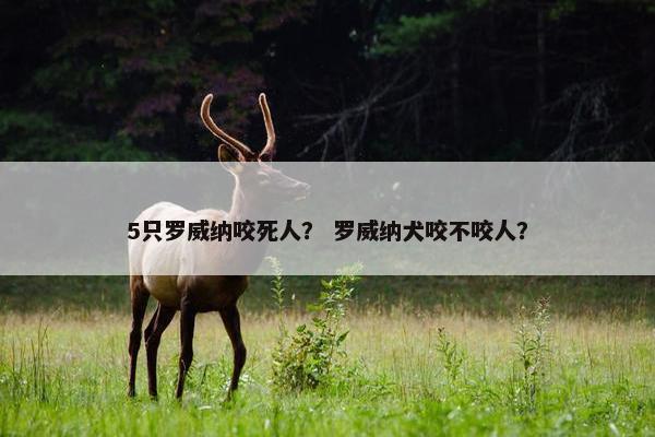 5只罗威纳咬死人？ 罗威纳犬咬不咬人？