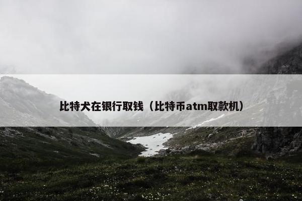 比特犬在银行取钱（比特币atm取款机）