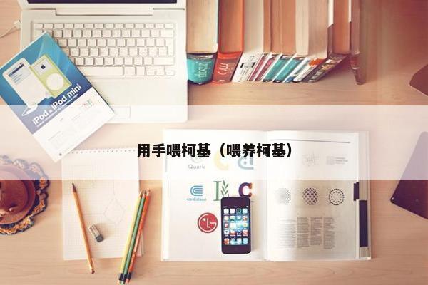 用手喂柯基（喂养柯基）