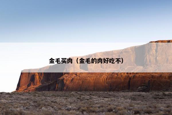 金毛买肉（金毛的肉好吃不）