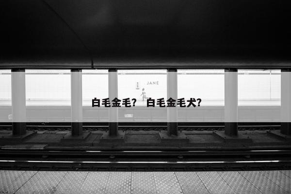 白毛金毛？ 白毛金毛犬？