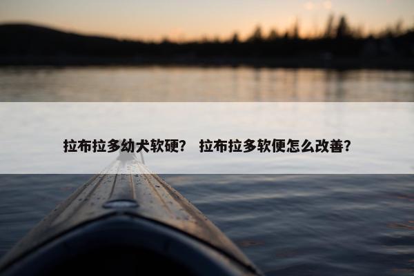 拉布拉多幼犬软硬？ 拉布拉多软便怎么改善？