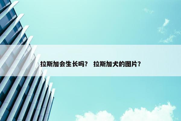 拉斯加会生长吗？ 拉斯加犬的图片？