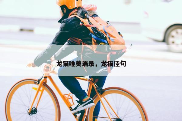 龙猫唯美语录，龙猫佳句