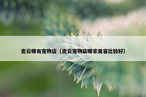 密云哪有宠物店（密云宠物店哪家美容比较好）