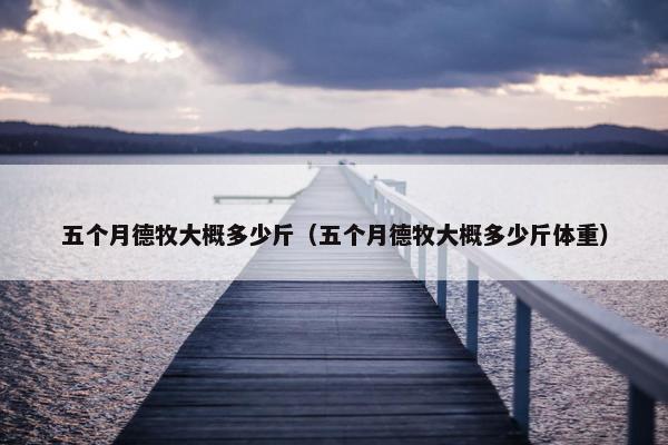 五个月德牧大概多少斤（五个月德牧大概多少斤体重）