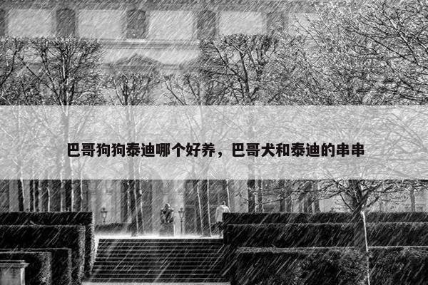 巴哥狗狗泰迪哪个好养，巴哥犬和泰迪的串串