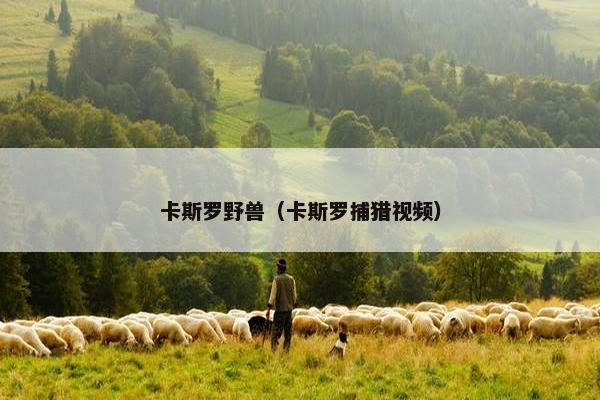 卡斯罗野兽（卡斯罗捕猎视频）