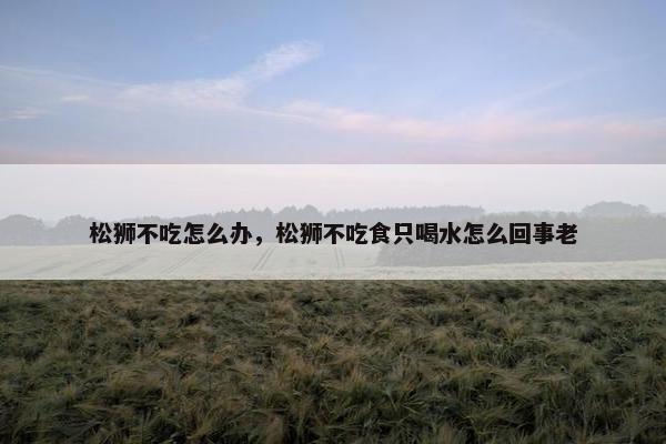 松狮不吃怎么办，松狮不吃食只喝水怎么回事老