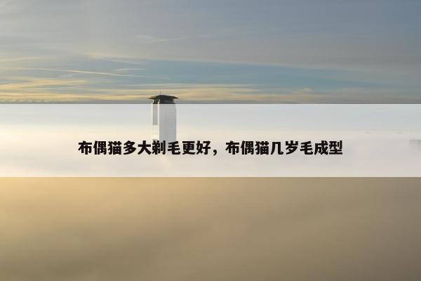 布偶猫多大剃毛更好，布偶猫几岁毛成型