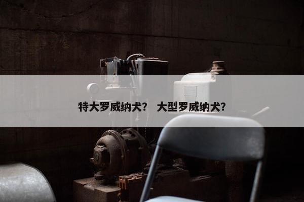 特大罗威纳犬？ 大型罗威纳犬？