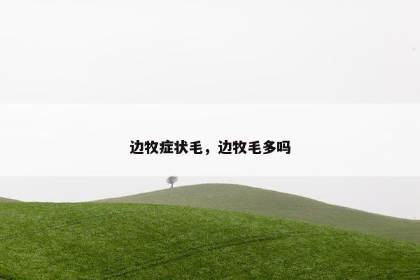 边牧症状毛，边牧毛多吗