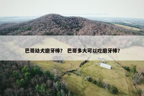 巴哥幼犬磨牙棒？ 巴哥多大可以吃磨牙棒？