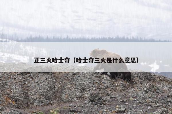 正三火哈士奇（哈士奇三火是什么意思）