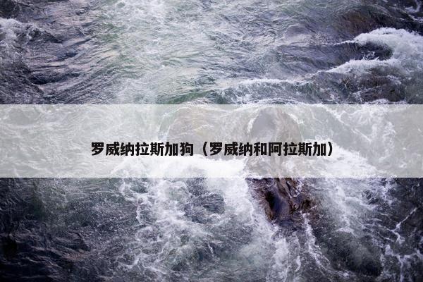 罗威纳拉斯加狗（罗威纳和阿拉斯加）