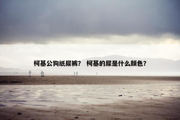 柯基公狗纸尿裤？ 柯基的尿是什么颜色？