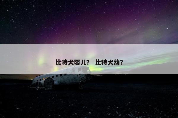 比特犬婴儿？ 比特犬幼？