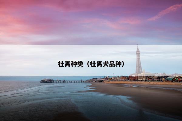 杜高种类（杜高犬品种）