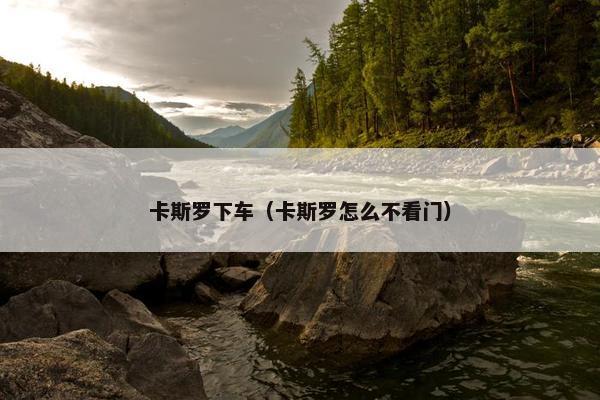 卡斯罗下车（卡斯罗怎么不看门）