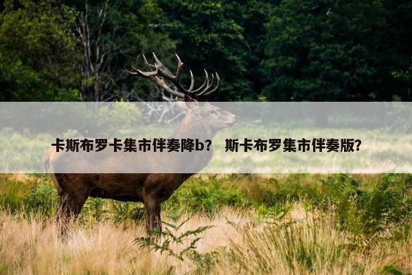 卡斯布罗卡集市伴奏降b？ 斯卡布罗集市伴奏版？