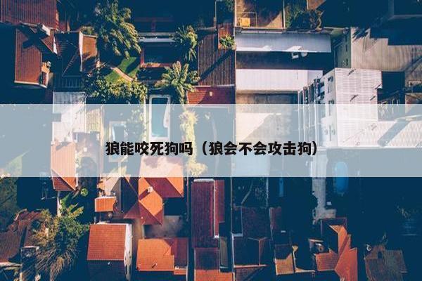 狼能咬死狗吗（狼会不会攻击狗）