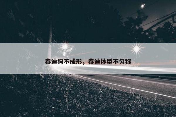 泰迪狗不成形，泰迪体型不匀称