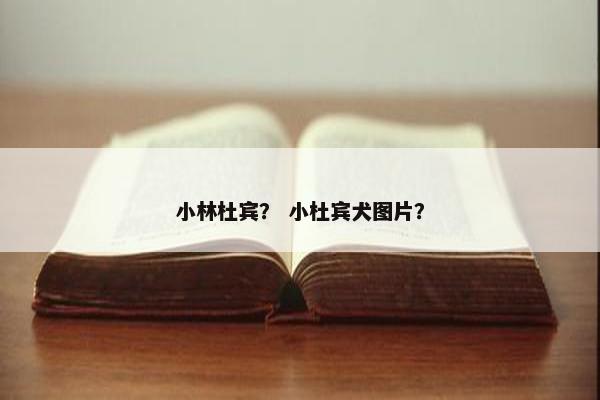 小林杜宾？ 小杜宾犬图片？